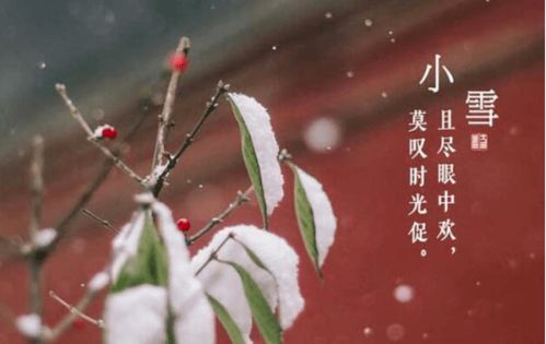 小雪冬寒日甚 谨防旧疾复燃