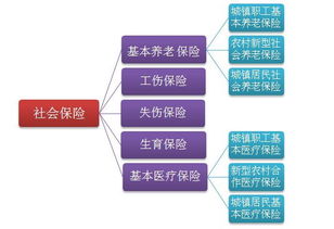 社会保险法法定险种,城镇职工社会保险包括哪些险种