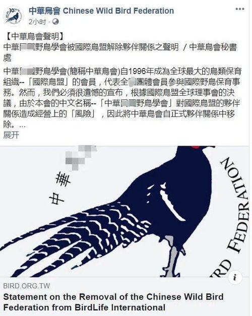 北京生活惠 北京一知名培训机构停业,家长追讨超千万学费 刑拘 女子当街扇交警耳光 北京公布首批深夜食堂街区