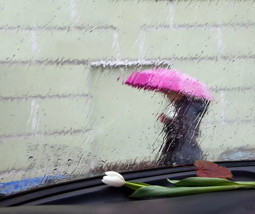 阴雨减退 明日天况好转