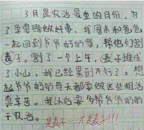 小学生零分作文 老师看完无奈,家长没脸见人,我真没有教过