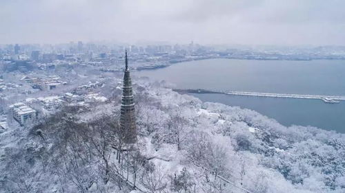 MA残雪塔罗解牌直播专题