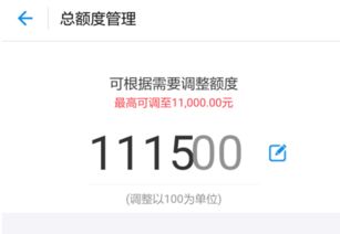 为什么花呗不能连续支付口碑商家大额资金 