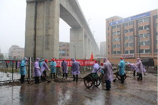 石桥社区在职党员冒雨参加百日清洁石桥大行动活动 