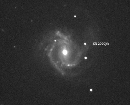观测通知 两颗超新星点亮星系