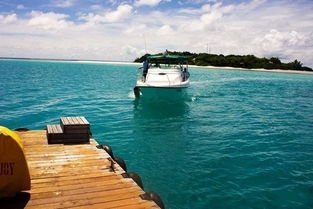比较瓦迪度岛和马尔代夫哪个更适合度假（马尔代夫马迪瓦鲁岛）