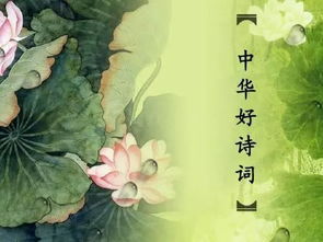 关于春节家庭的诗句
