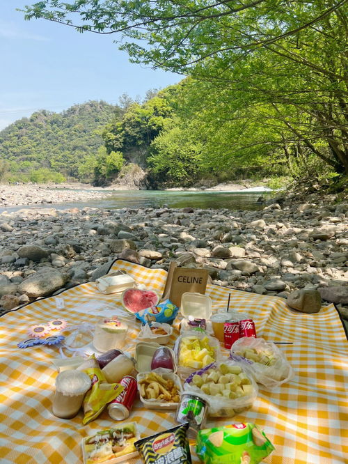 宁波奉化 春日烧烤野餐露营好去处 