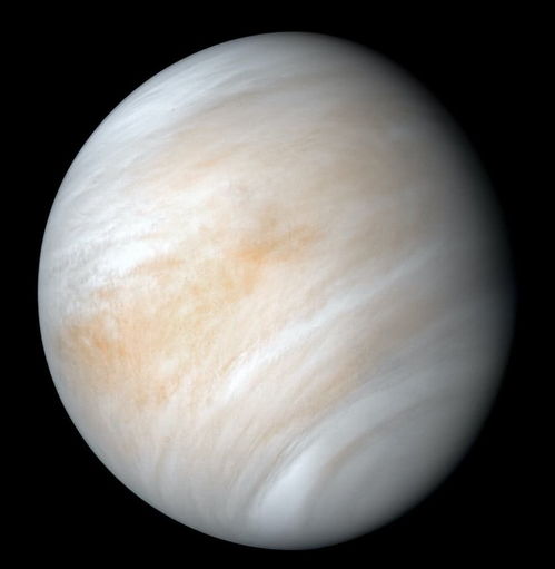 什么是金星合轴,金星与上升呈180度的女生长相