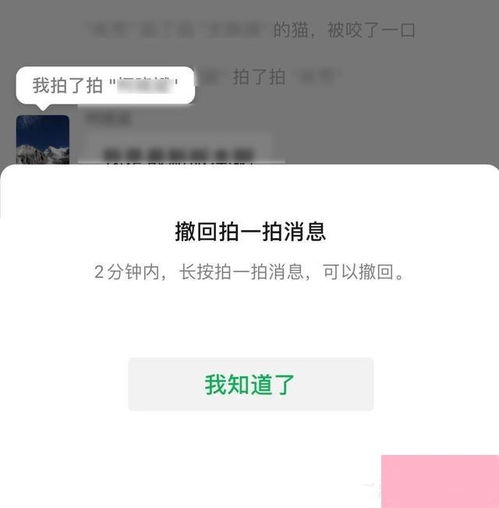 电脑系统小知识 微信拍一拍可以撤回了再也不怕手滑啦