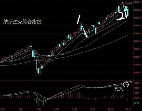 一年股市有多少交易日？