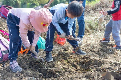 2021班级春游定制│深圳小学幼儿园班级亲子春游活动,带着孩子去春游踏青