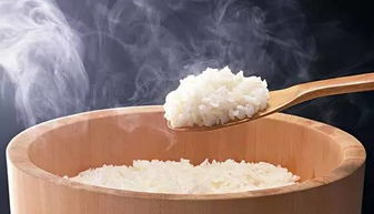 米饭有点馊味怎么补救 米饭有点馊味还能补救吗