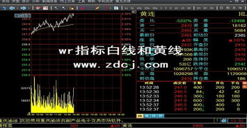 股票WR指标黄线、白线各代表的是什么？