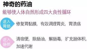 金星是易胖体质 用这个方法排脂肪,长期肥胖者必看 每天轻松一抹逆袭变女神