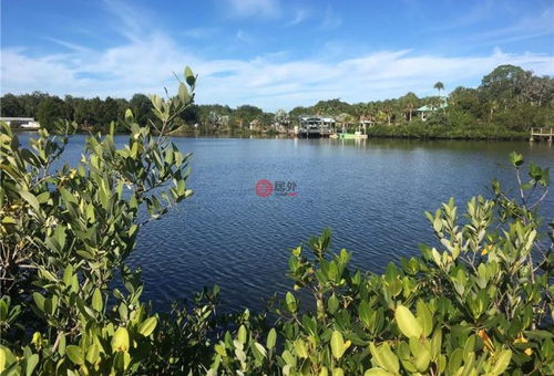 美国佛罗里达州水晶河的房产USD 41,500 美国房产佛罗里达州水晶河房产房价 居外网 