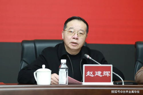 公司执行董事由党委书记担任，法人由总经理担任，怎样厦职