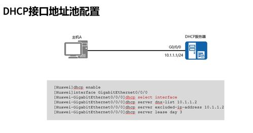 dhcp(什么是DHCP)