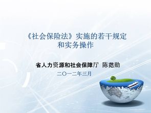 社会保险法是哪一年实施的 (新实施的社会保险法是哪年)