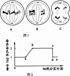 某农科院研究种子贮存.做了以下实验.并得出相应数据.请分析并回答下问题. 1 实验一设置②和实验三设置②的目的是 2 根据上述实验指出保存种子的有效措施及相关的实验代号是 