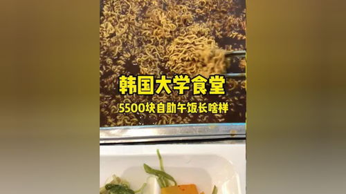 韩国大学食堂打饭 吃了一个月食堂,今天品出了一次能吃两个肉菜的方法 一起吃饭吧 韩国留学 海外生活 大学食堂 