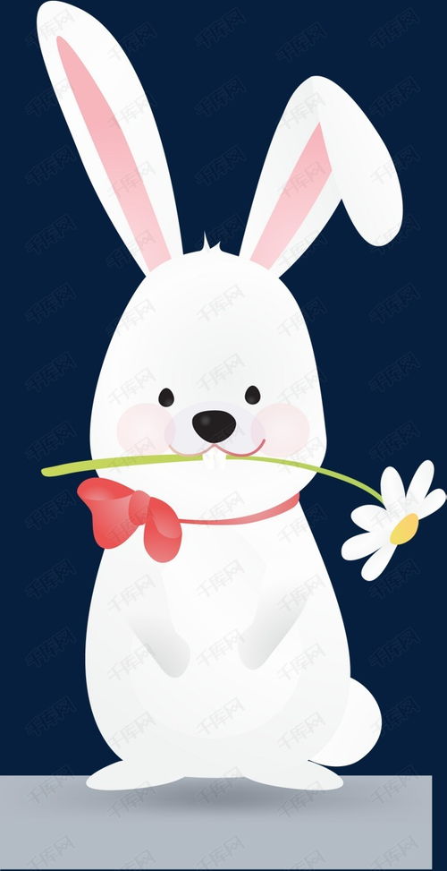 白色兔子的动画电影兔子名字