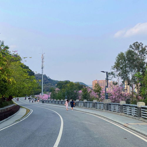 佛山免费停车场哪里有(佛山免费路边停车场有哪些)