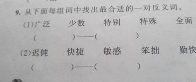 讨厌怎么读音?讨厌的近义词和反义词有哪些??讨厌的近义词是什么