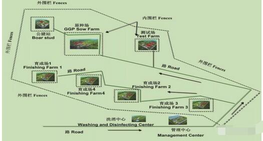 猪场简易围墙怎么弄好看？猪场外围生物安全流程(猪场围栏设计图)