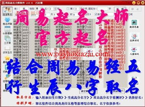 八字软件哪个好,好用的八字软件,八字软件排行 偶要下载站 