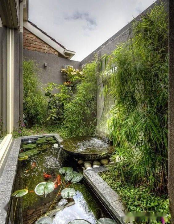 家有庭院,一定要有个池塘,200款极品水池设计