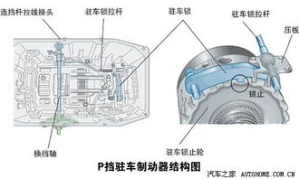 驾校不教的知识 停车需注意的问题 