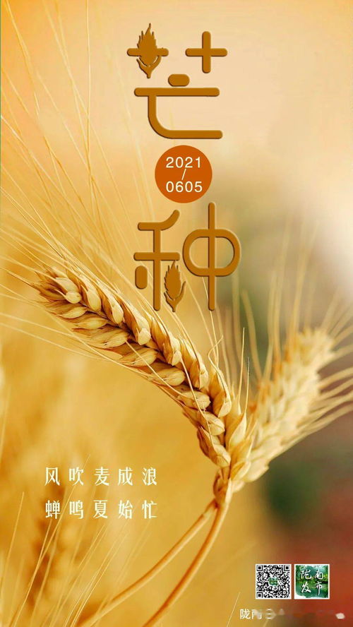 2025年芒种是几月几号