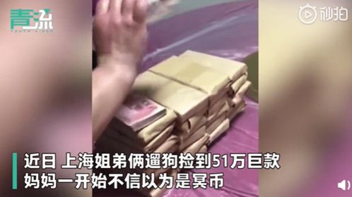 姐弟遛狗捡到钱不是26万是51万 已还给失主,公益组织为他俩颁发奖励