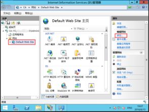 ssl证书可以同时买windows版和linux(linux虚拟主机ssl证书)