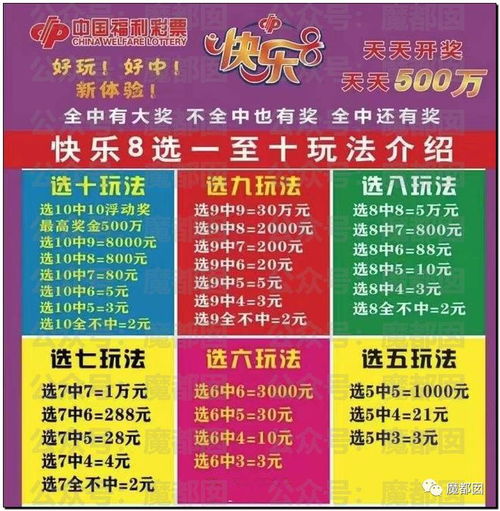 8号彩票软件试玩如何bug提现-揭秘数字彩票世界的秘密和挑战