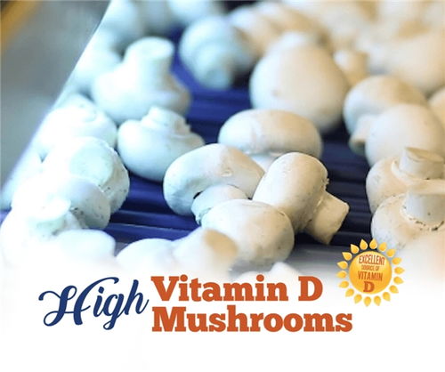 澳洲富维健营养专家 蘑菇维生素D能帮助儿童补钙