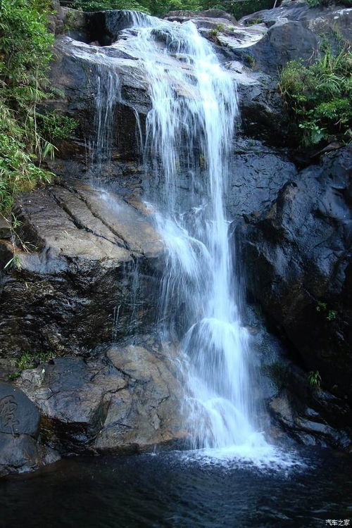 错过莫癫狂,失去又何妨,风烈心愈静,雨骤神更清 C4 PICASSO论坛 汽车之家论坛 