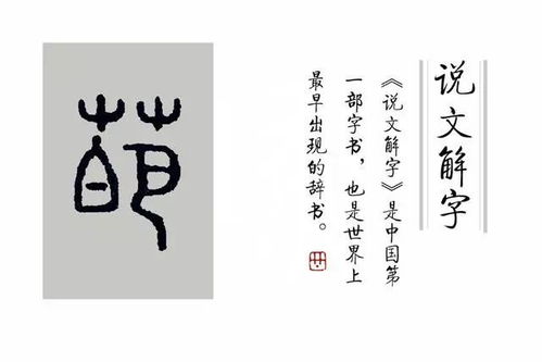 说文解字 第80课 叶 这个常见字,你真的认识吗