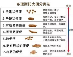 每次写报告都有个中小问题，错别字，日期就是检查不出来怎么办