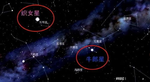 为什么天狼星比织女星更亮 天狼星和织女星互换位置会发生什么