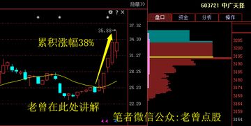 这个股后期如何进行操作?