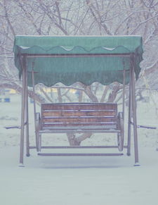 青 光影 北风其凉,雨雪其雱