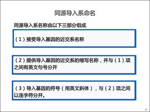 第88期 手把手教你快速读懂大小鼠命名法 中