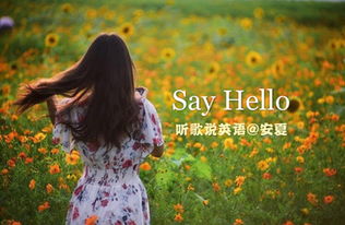 听歌学英语 非常适合睡前听 温暖治愈的歌曲 Say Hello