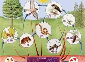 科学网 自由 和 缺陷 我的 父母 教育 我 张能立的博文 