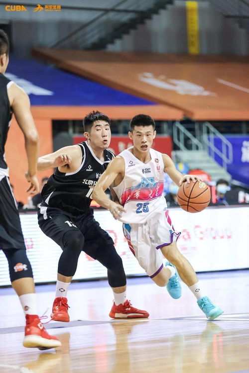 中国篮球新星联赛直播在线观看