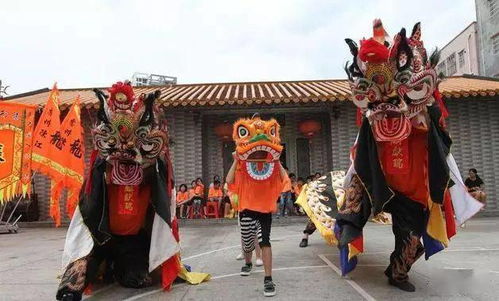 海南春节习俗, 你们是怎样过年的