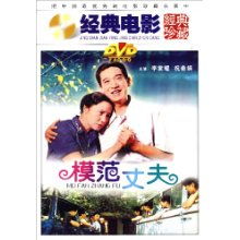 模范丈夫 DVD