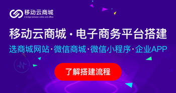 网上新开的商城怎样进行线上线下具体推广操作?